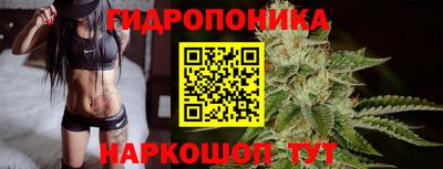 индика Малгобек