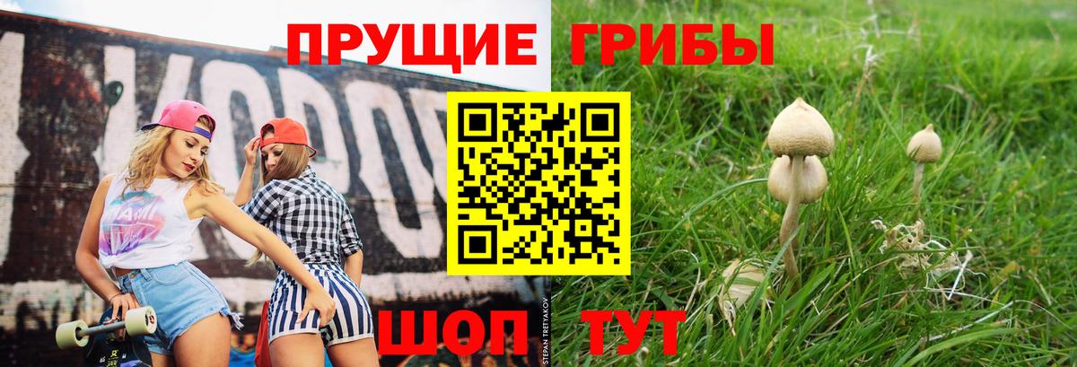 Псилоцибиновые грибы прущие грибы  Вход с VPN  купить закладку  Горно-Алтайск 