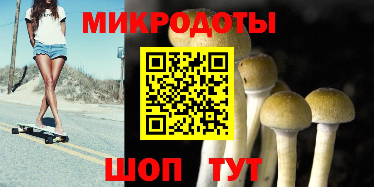 Псилоцибиновые грибы MAGIC MUSHROOMS Горно-Алтайск