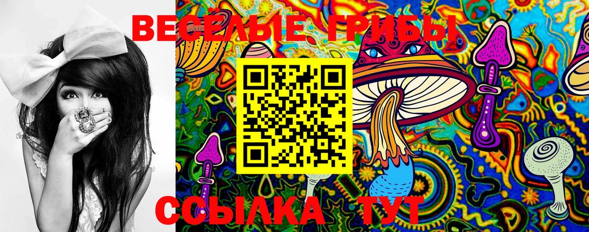 ГАШ Горно-Алтайск